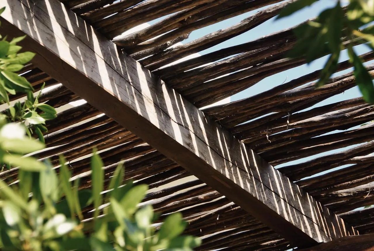 Boutique Hotel El Nido Holbox
