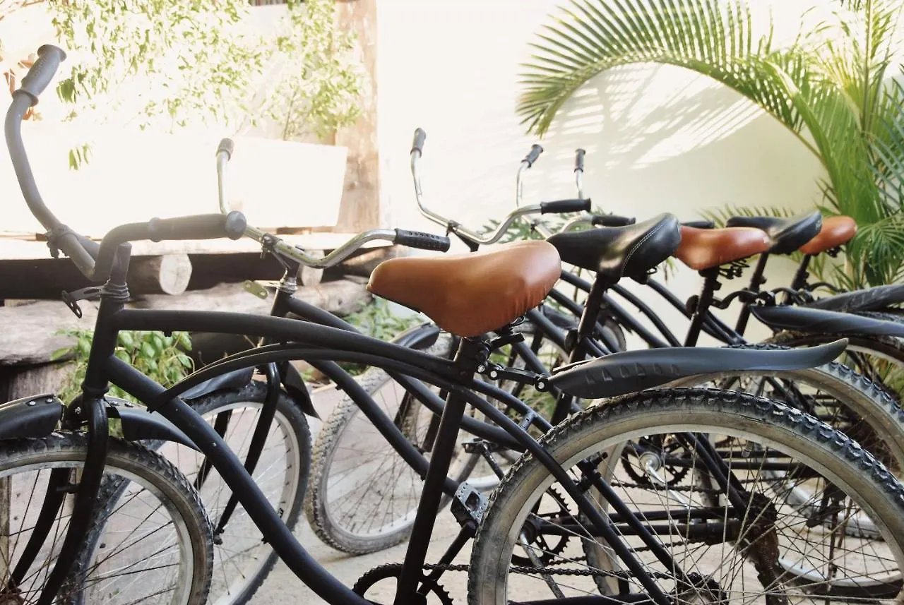 Boutique Hotel El Nido Holbox Mexico